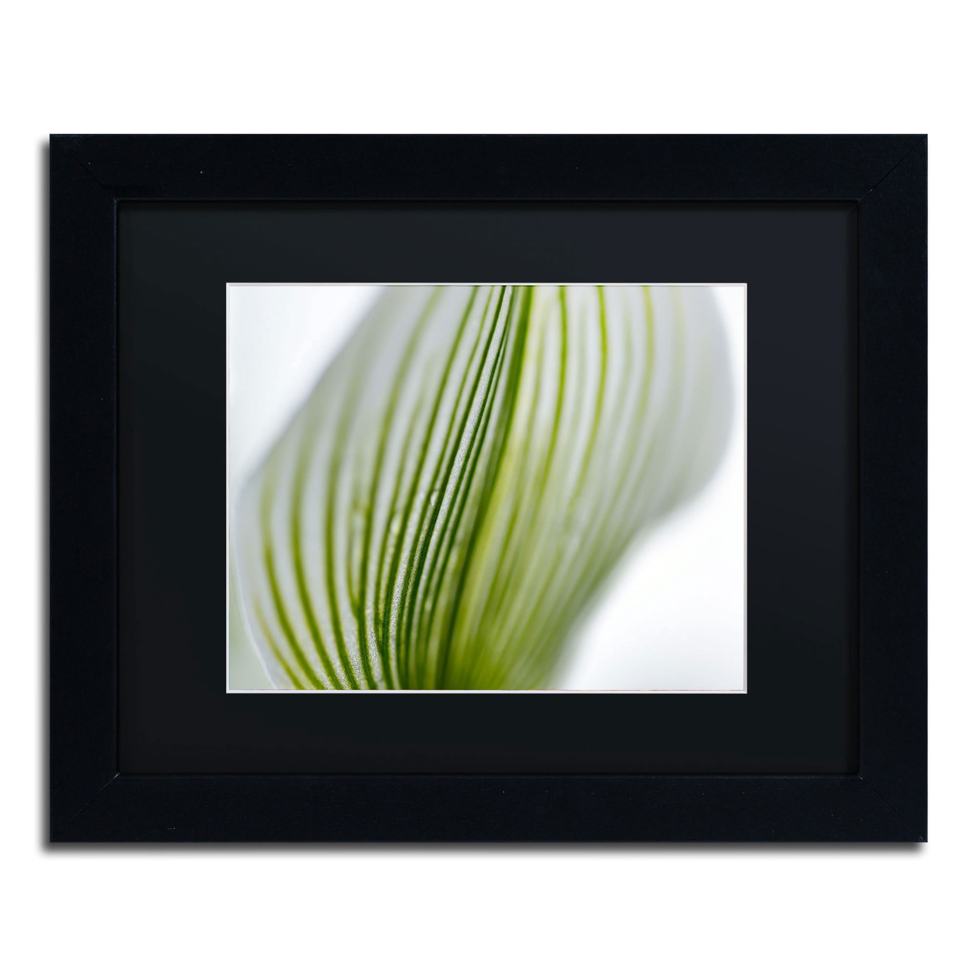 Trademark Fine Art "Orchid Abstract Blurred Lines" Canvas Art by Kurt Shaffer, Black Matte, Black Frame