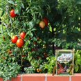thumbnail image 5 of The Old Farmer's Almanac Tomato & Vegetable Plant Food Spikes, 6-4-6 Fertilizer, 12 Pack, 0.3 lbs, 5 of 6