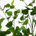 thumbnail image 6 of Nearly Natural Potted Artificial Birch Tree - 4' - Green, 6 of 6