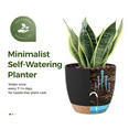 thumbnail image 2 of JF Self Watering Pots 6 Pack Plant pots Indoor planters 5/5.5/6/6.5/7/8 Inches flower pots with High Drainage Holes and Deep Reservoir for Indoor Outdoor Garden Plants and Flowers, Black with Brown, 2 of 6