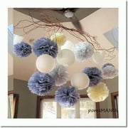 Sky Blue Bliss: 22 Pcs Tissue Pom Poms, Paper Lanterns & Hanging Flowers - Perfect Wedding, Bridal Shower, Baby Shower & Fall Themed Party Decorations!