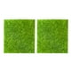 thumbnail image 1 of 2 unids Micro Paisaje Césped Césped Musgo Simulación Turf DIY Ornamento Decoración, 1 of 6