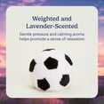 thumbnail image 3 of Pelota de fútbol pesada y apta para microondas con forma de animal de peluche, 3 of 6
