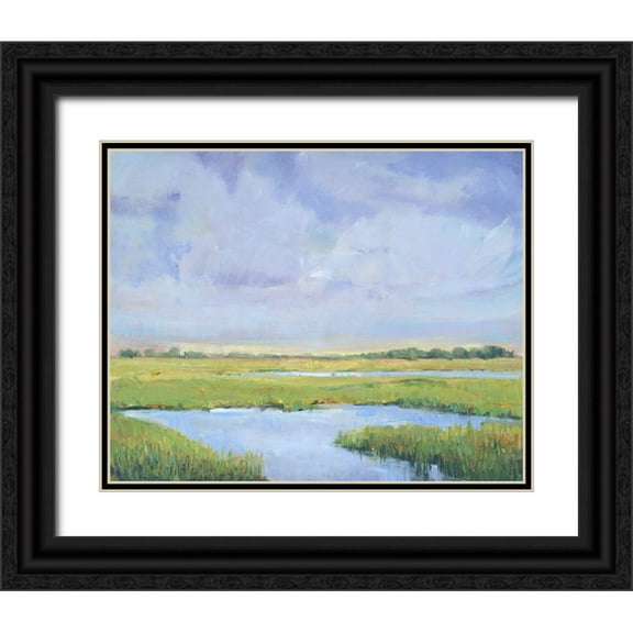 OToole, Tim 14x12 Black Ornate Wood Framed with Double Matting Museum Art Print Titled - Summer Marsh I