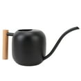 thumbnail image 1 of Lata De Riego Interior De Acero Inoxidable Con Boquilla Larga, De , Maceta De Bonsai Para Plantas De Casa Flores Suculentas, 1.2L, 1 of 7