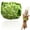 Green, variant on Reusable Adjustable Small Animal Diaper Pants, Washable Indoor Pet Nappies for Hamsters, Bunnies, Sugar Gliders, Ferrets & Squirrels