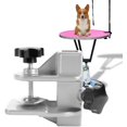 thumbnail image 4 of Accesorios de mesa de aseo para mascotas Accesorio de abrazadera de aleación de aluminio Soporte de abrazadera de barra en H Soporte de abrazadera para perros gatos (23 * 23 mm) brillar Electrónica, 4 of 5