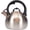 Silver, variant on 3.1 Quart Teal Whistling Kettle for Stove Top, Grade Stainless Steel