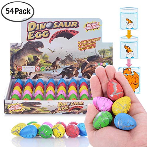 mini hatching dinosaur eggs