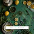 thumbnail image 2 of Cartucho de fragancia ScentAir Monthly para Whisper Home, 2 of 7
