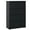 Black, variant on Metal 2 Drawer Mobile File Cabinet With Lock - Convenient Storage Fits Legal/letter/a4 Antique White Office Included For Privacy