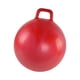 thumbnail image 5 of Pelota para saltar CUTICAT 55 cm Rojo, 5 of 8