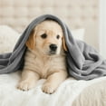 thumbnail image 3 of Moonlight20015 Fleece Blanket, Soft Microplush, Lightweight, Thick And Warm Cozy Comforter, Queen (90x90) Silver, 3 of 10