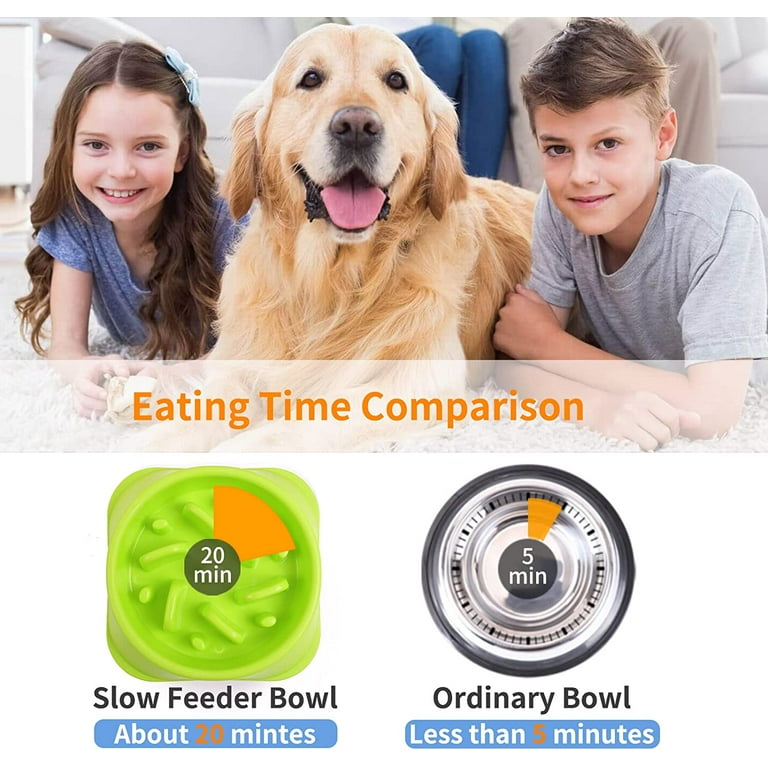 Dog Slow Feeder Bowl, Non Slip Puzzle Bowl - Anti-gulping Pet Slower Food  Feeding Dishes - Interactive Bloat Stop Dog Bo