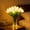White, variant on Artificial Tulip Flowers LED Lights, 15 PCS Radiant Romantic Tulip Light, Twinkling LED Tulips, Flower Shaped Ambient Night Lamp for Bedroom Bedside Decor