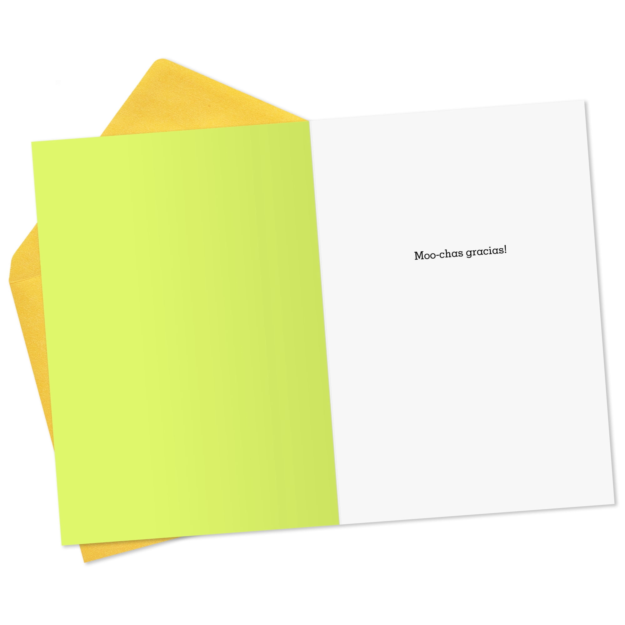 Hallmark Shoebox Funny Thank-You Card (Moo-chas Gracias)