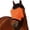 Orange, variant on YIFAEUX Horse Fly Face Guard Half Face UV Protection Cover from Summer Insect Pest Adjustable Breathable Mesh Coverage for Horse
