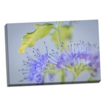 Gango Home Decor Contemporary Caryopteris IV by Kathy Mahan (Ready to Hang); One 24x16in Hand-Stretched Canvas