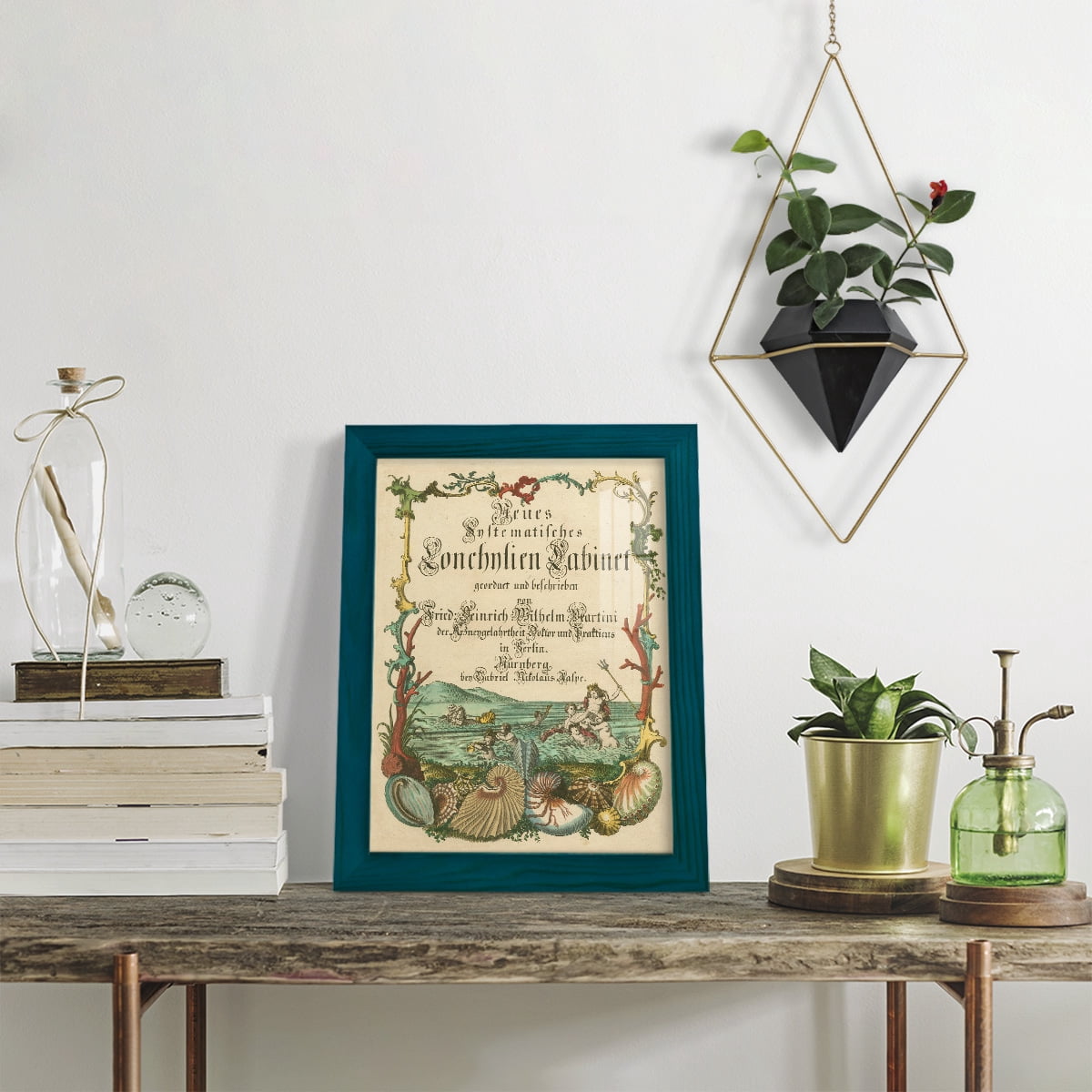Cabinet of Conchology -Framed Print w/glass-Ocean Blue