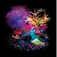 thumbnail image 2 of Marina iGlo Aquarium Plant, 5.5", 2 of 2