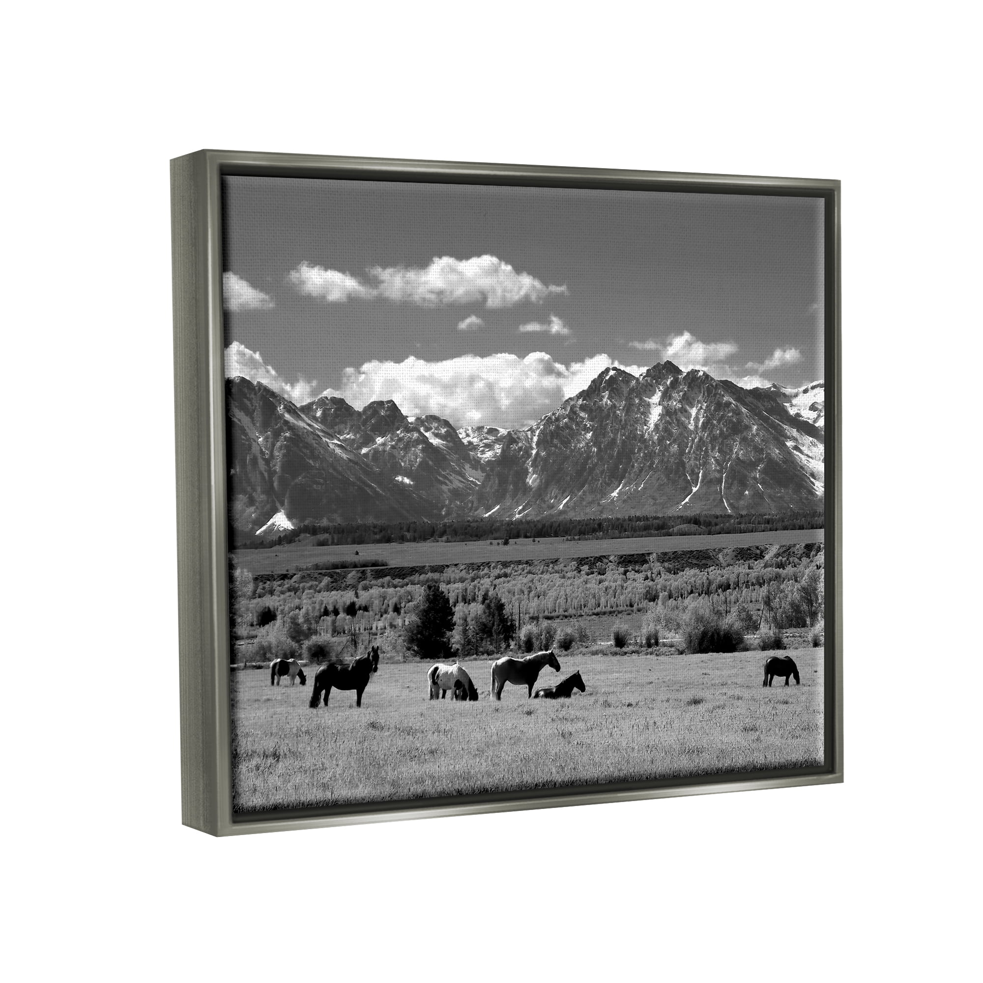 Stupell Industries Horses Grazing Countryside Landscape Photography Gray Floater Framed Canvas Art Print Wall Art, 21 x 17