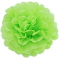 thumbnail image 6 of Decorative Tissue Paper Pom Poms for Wedding Baptism Boy Birthday Party Baby Shower Baby Showers Graduation Confirmation Boy, 6 of 8