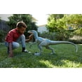 thumbnail image 2 of Jurassic World Blue Le Velociraptor Super Colossal, 2 of 6