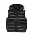 thumbnail image 4 of SHUNSUI Kids Hooded Vest Ears Design Winter Sleeveless Coat Outerwear Boys Girls Size 2-3 Years, 4 of 4