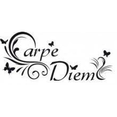 Custom Decals Carpe Diem 6x12"