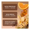 thumbnail image 3 of Fragancia Corporal Holler and Glow Hazey Amber 170 ml, 3 of 5