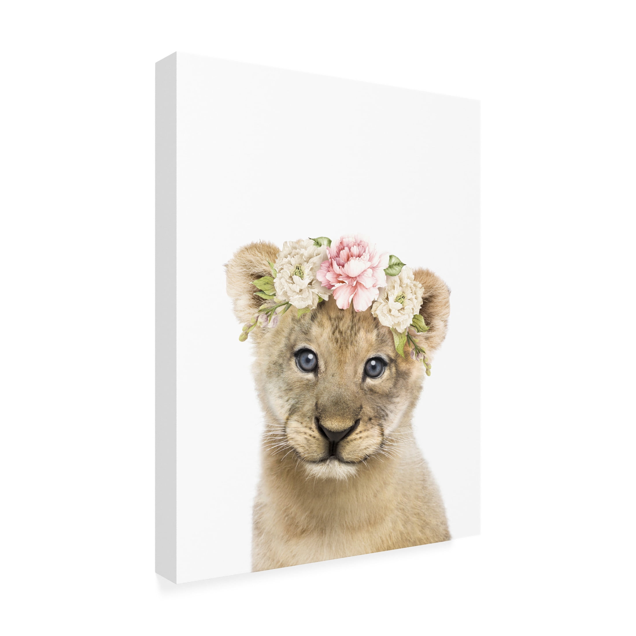 Trademark Fine Art Lola Peacock  Floral Baby Lion Canvas Wall Art