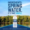 thumbnail image 4 of (4 pack) Ice Mountain Spring Water, 1 Liter, Single Plastic Bottle, 4 of 12