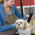thumbnail image 3 of Dog Grooming Extension Strap Pet Grooming Arm Extension Strap Adjustable Quick Release Dog Grooming Leash Grooming Loop Extension Grooming Table, 3 of 8