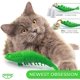 thumbnail image 4 of BEMS-Cepillo de dientes para gatos, juguete con hierba gatera, goma dura duradera, Dental para gatos, 4 of 4