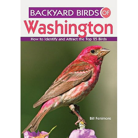 Backyard Birds of Washington : How to Identify and Attract the Top 25