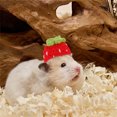 thumbnail image 4 of Adorable Hat for Small and Cats with Adjustable Strap Soft Breathable Outdoor, 4 of 4