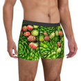 thumbnail image 4 of Cauagu Cactus And Succulents Print Boxer Briefs for Men,Comfortable Breathable Men's Underwear Moisture Wicking Underpants -XX-Large, 4 of 8