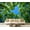 Color 4, variant on Wall Mural Peel and Stick Vibrant Cherry Blossom Trees Full Bloom Against Sky Self-Adhesive Wallpaper Removable Wall Decal Wall Sticker Home Decor for Living Room Bedroom 100"x144"