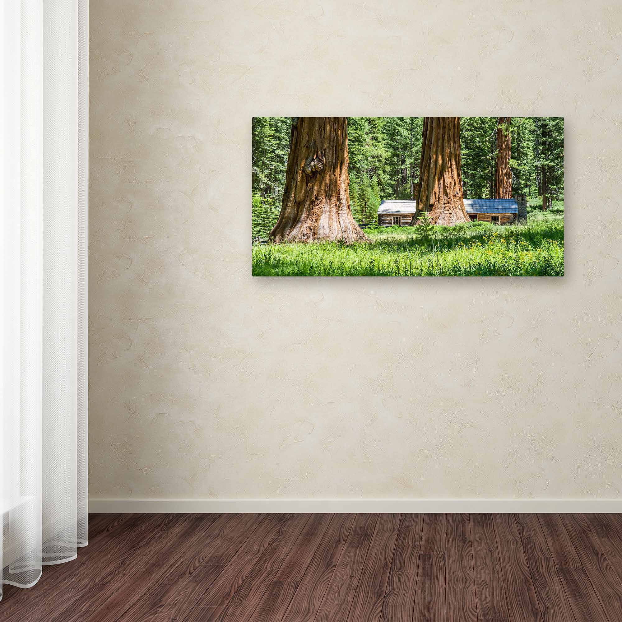 Trademark Fine Art "Giant Sequoia Cabin" Canvas Art by Pierre Leclerc