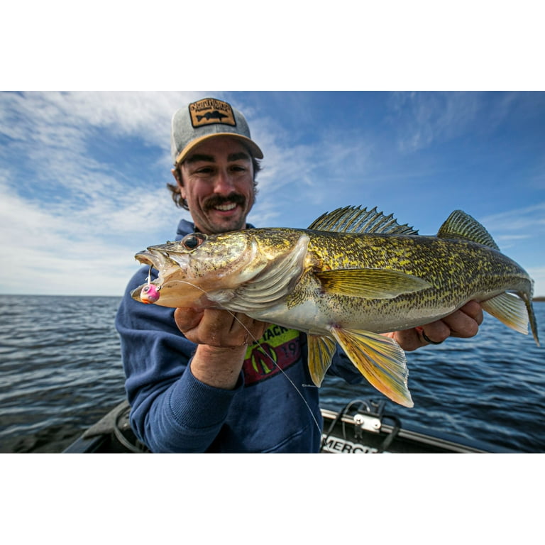 Northland Fishing Tackle MVP Jig - 6/Card - 1/8oz - Assorted