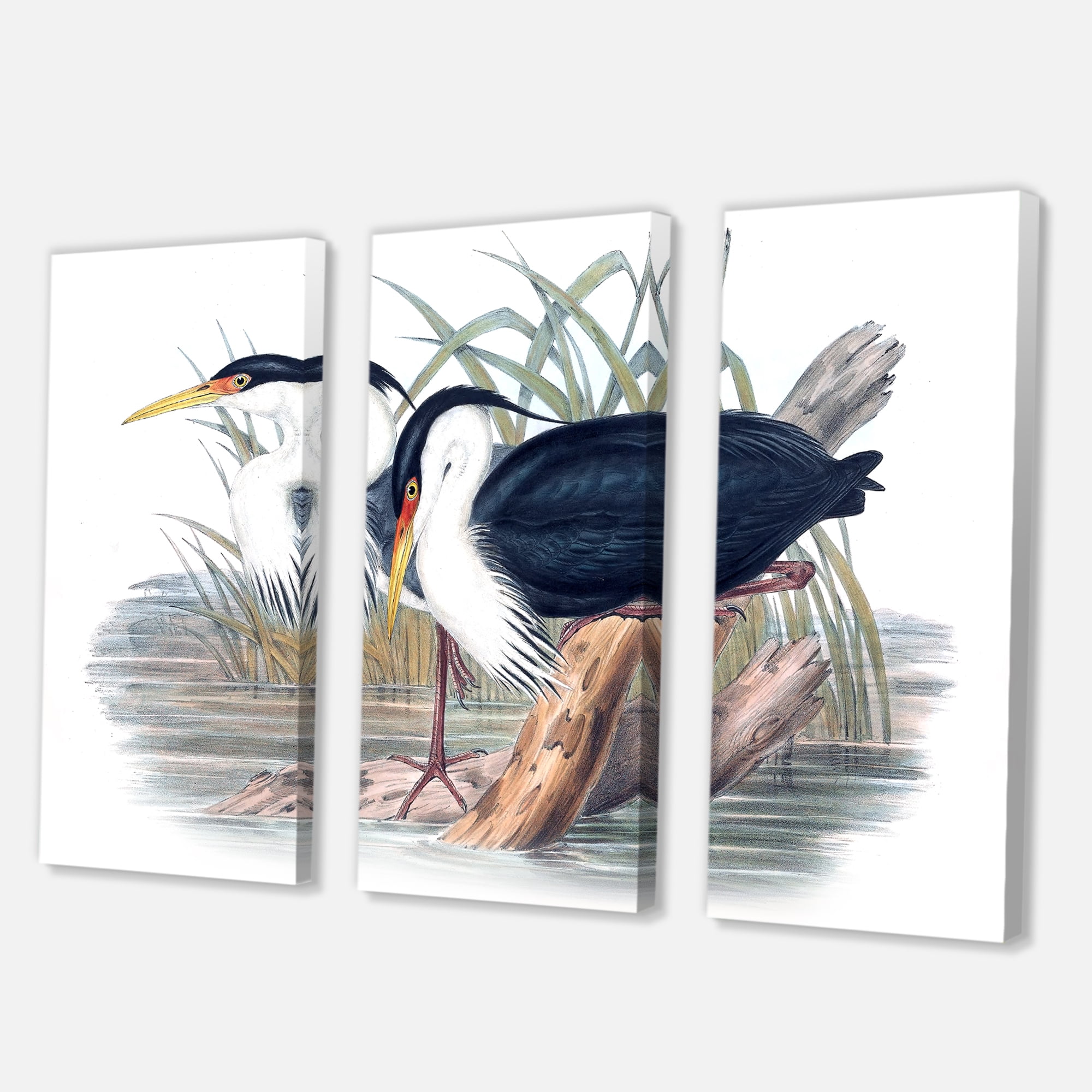Designart ' Ancient Bird Life II ' Traditional Canvas Wall Art Print