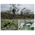 thumbnail image 4 of Doblador de Ramas KEWITY Herramienta de Jardín Fijación para Árboles Frutales Color Negro, 4 of 5