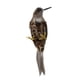 thumbnail image 3 of Emución Pájaro Artificial Taxidermia Decoración De Árbol Natural Juguete De Navidad 12cm RECOGIDA perfecl  Pájaros de la pluma, 3 of 6