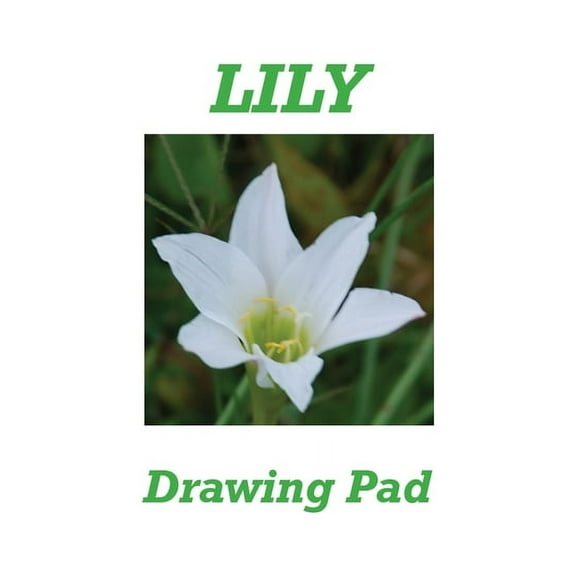 Lily Drawing Pad (Paperback)