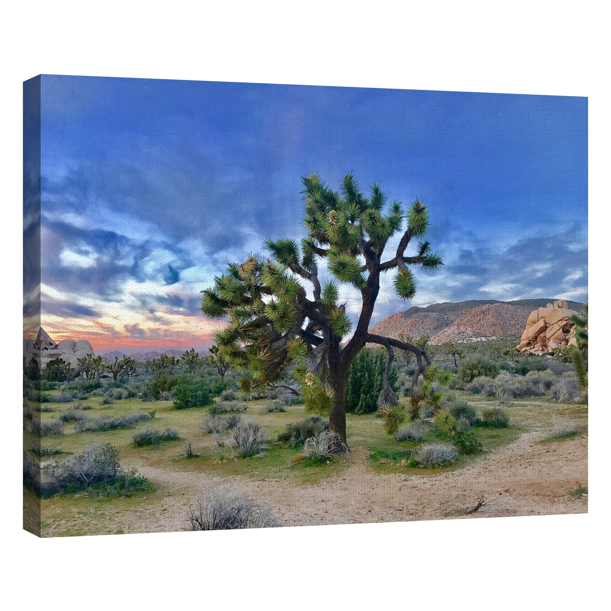 Masterpiece Art Gallery Joshua Tree Moment by James Carol Canvas Art Print 22" x 28"