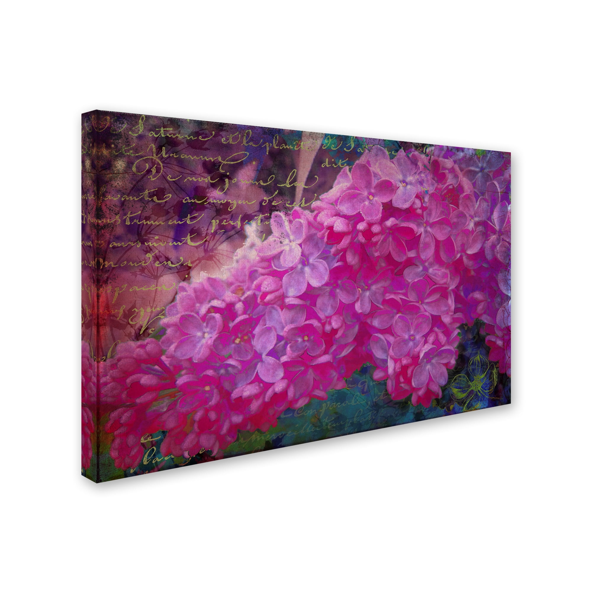 Trademark Art Nature & Floral Painting, by Tina Lavoie