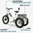 thumbnail image 5 of Three Wheel Electric Bikes, Electric Trike for Adults, Tricycle E-Bike with LCD Display, Li-ion Battery, 3 Wheel Motorized Bicycle, 750W Powerful Motor, Forza, & Forte, 5 of 5