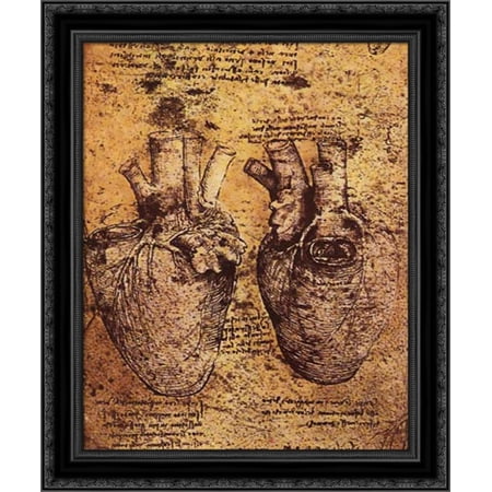 Drawing of the Heart and its Blood Vessels, from the Anatomical Notebooks 20x23 Black Ornate Wood Framed Canvas Art by Da Vinci, Leonardo