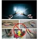 thumbnail image 2 of 10 conectores eléctricos, 222-418 terminales eléctricos, terminales de conexión con 8 palancas Zhivalor YQ-2620, 2 of 3