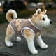 thumbnail image 4 of Ropa para mascotas lindos chalecos de oso otoño e invierno ropa de cuatro patas ropa para perros ropa para gatos franela, 4 of 6